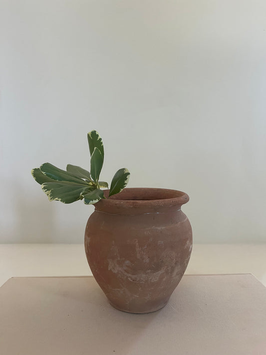 Mini Vintage Planter Pot