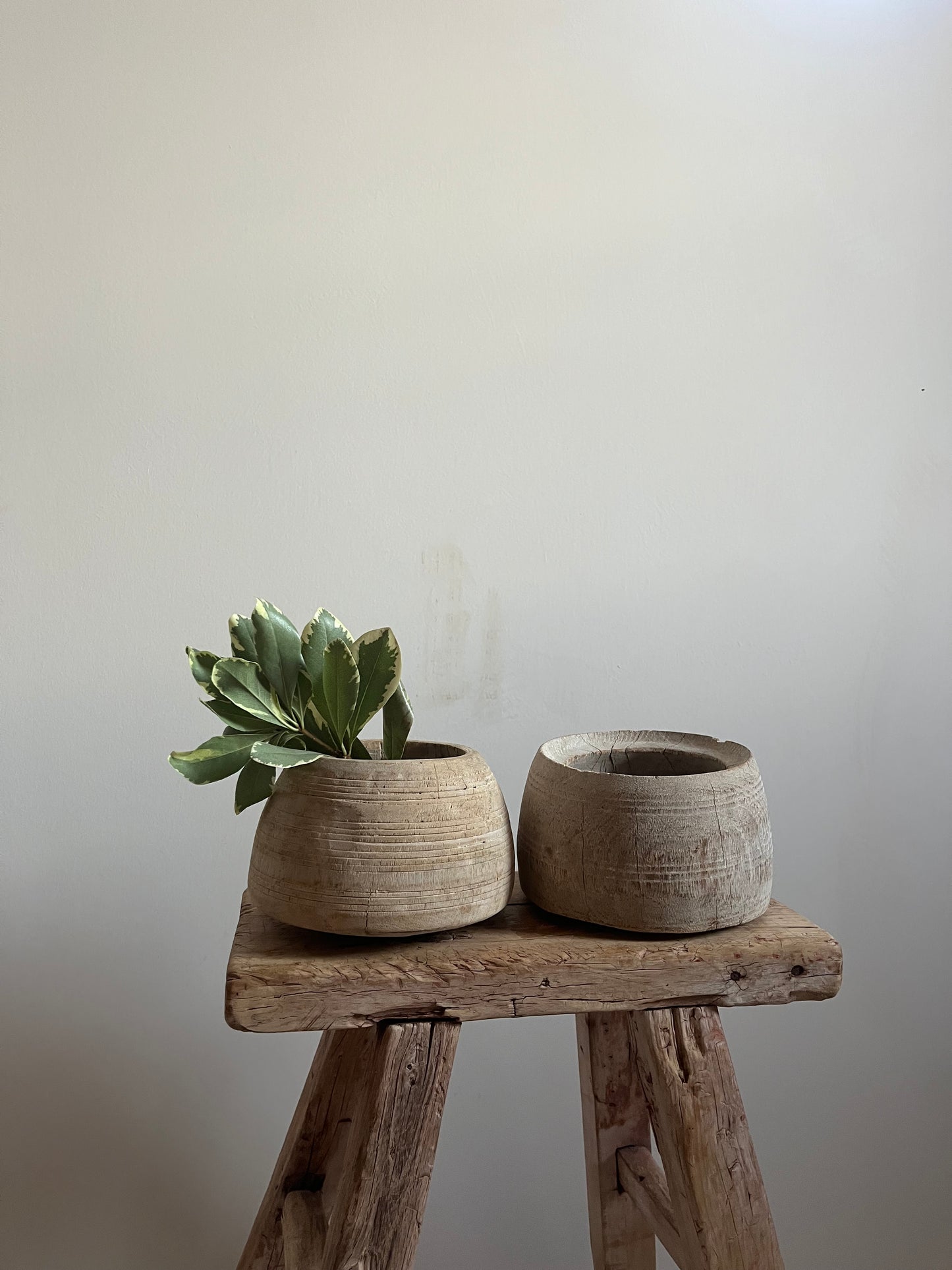 Bleached Vintage Honey Pot, XS No. 001