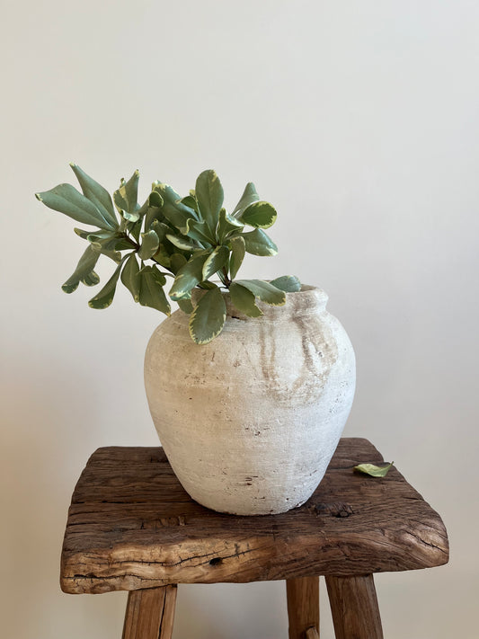 Vintage Indonesian Water Pot, Small No. 001