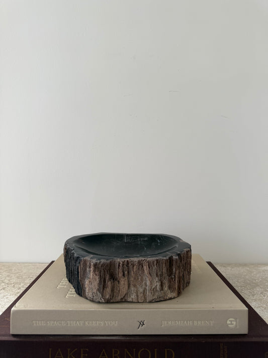 Petrified Wood Dish II