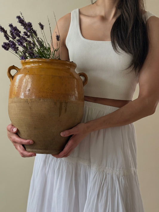 Large Antique Confit Pot - I