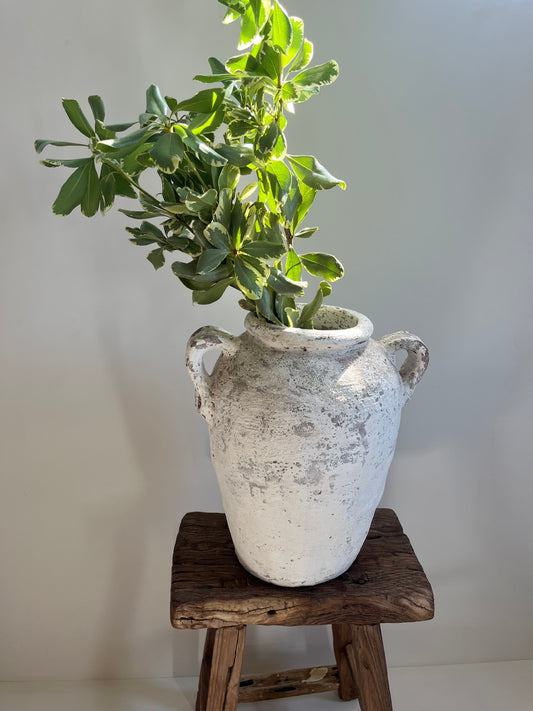 Vintage Indonesian 2 Handled Water Pot