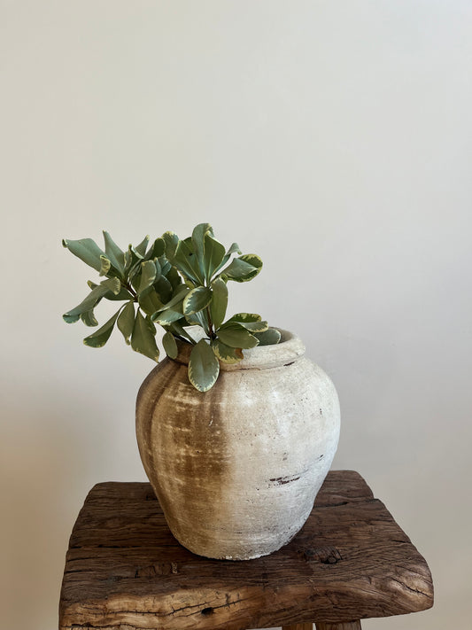 Vintage Indonesian Water Pot, Small No.002