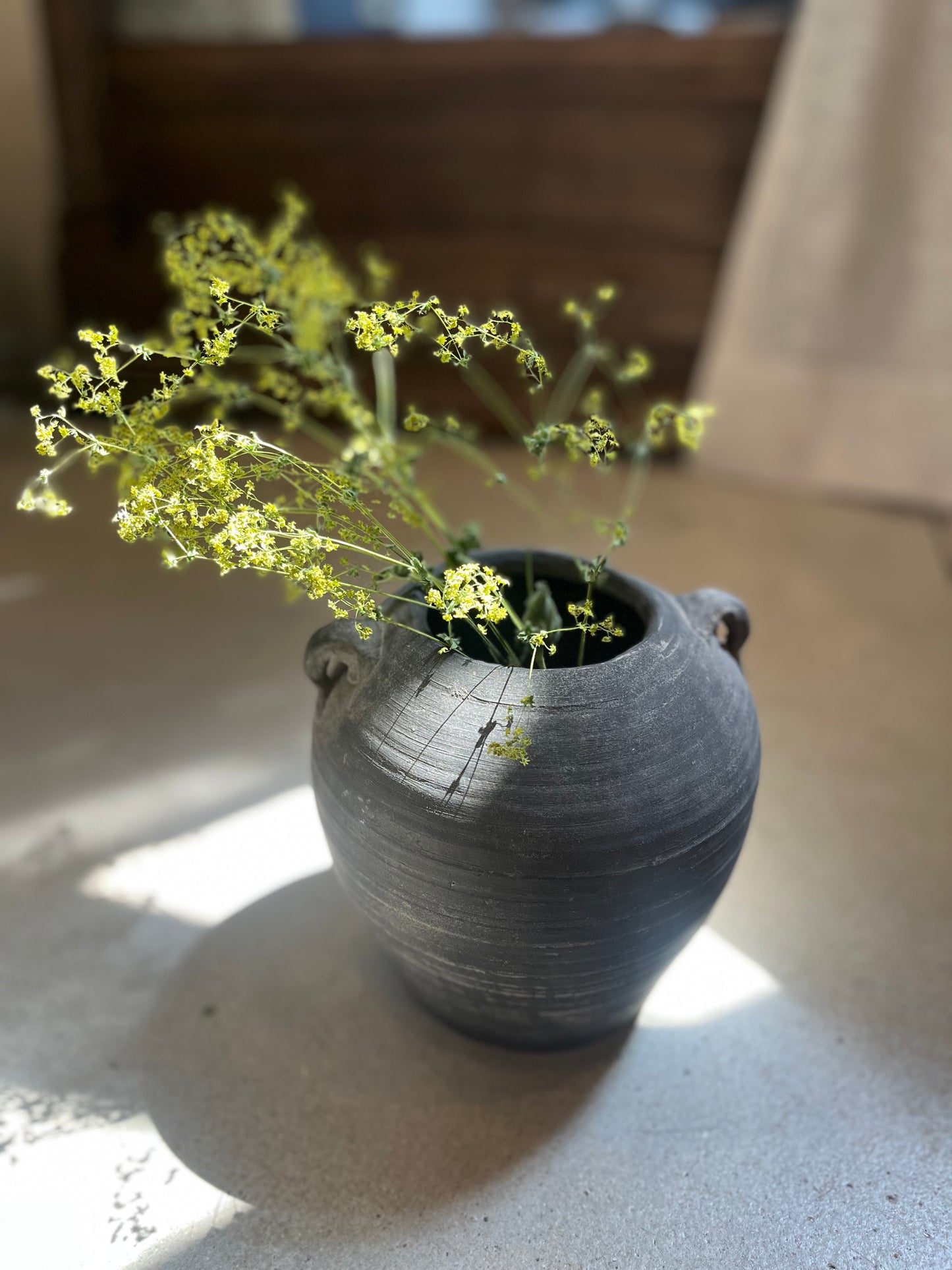 Calypso charcoal small 2 eared pot