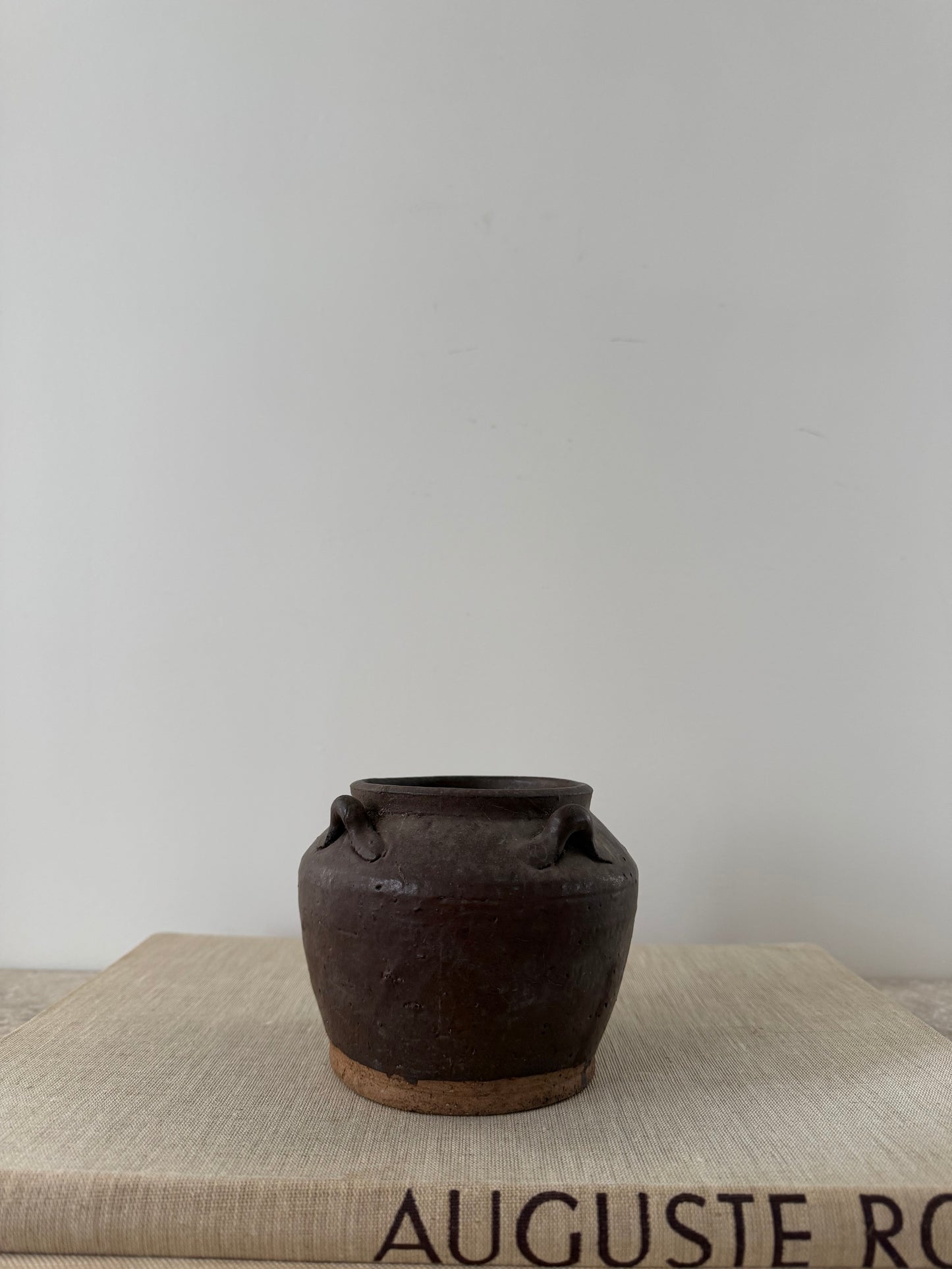 Ren Mini Pot