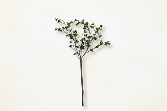 The Signature Stem