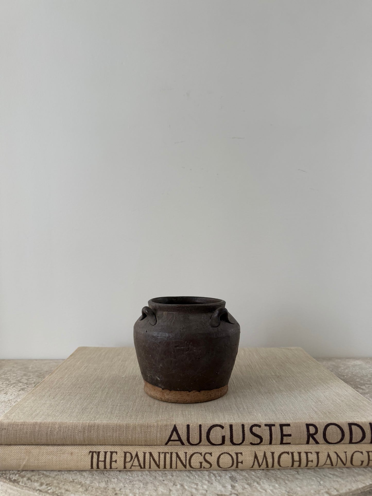 Ren Mini Pot