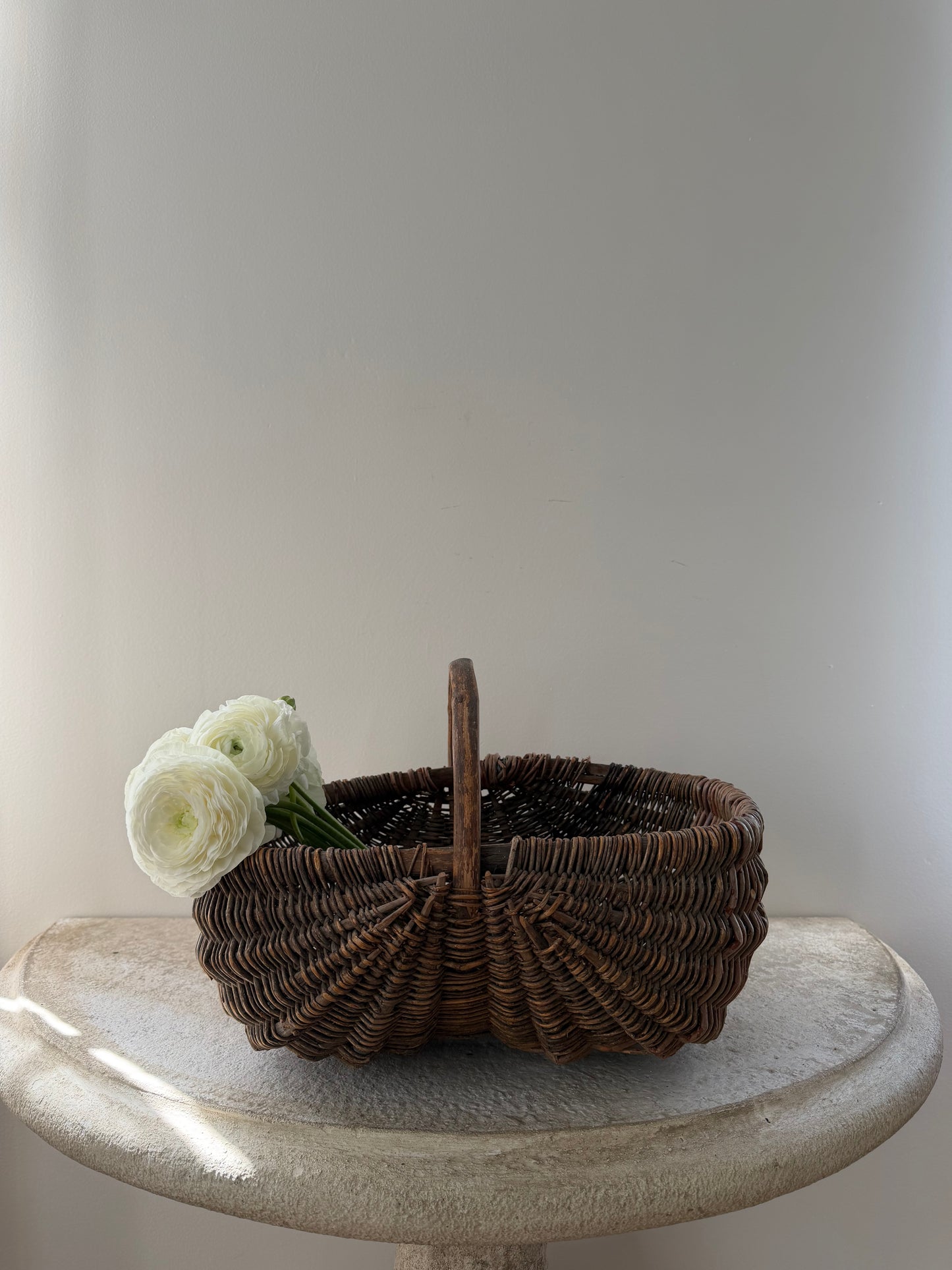 Grape Harvesting Basket II