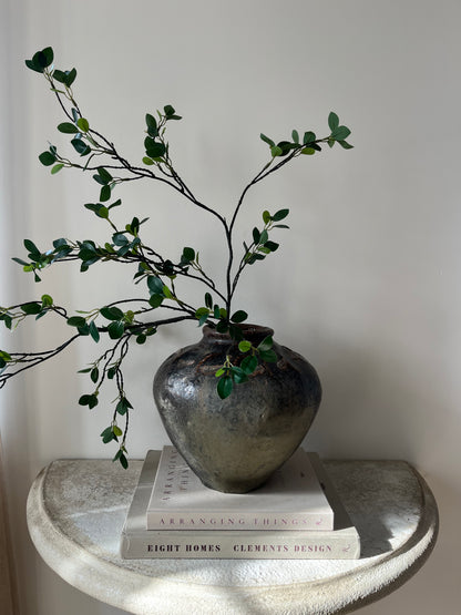 Rumi Pot I