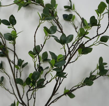 The Signature Stem