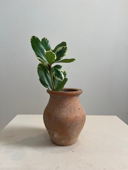 Vintage Turkish Vessel, XS No. 007