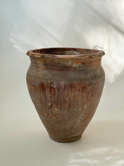 Scalloped Edge Terracotta Planter