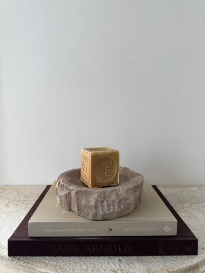 Petrified Wood Dish I