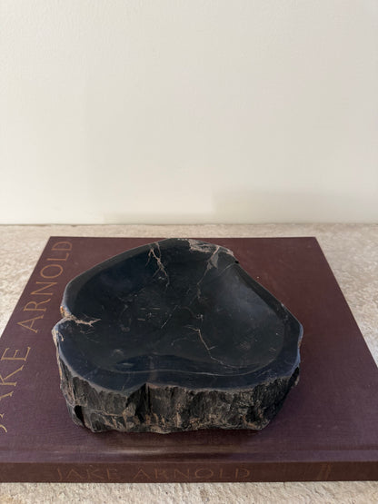 Petrified Wood Dish IV