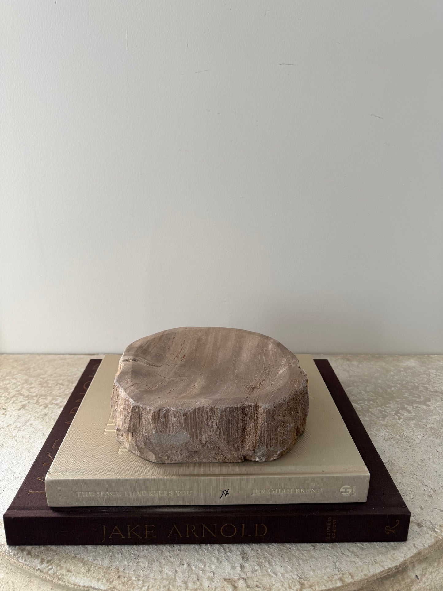 Petrified Wood Dish I
