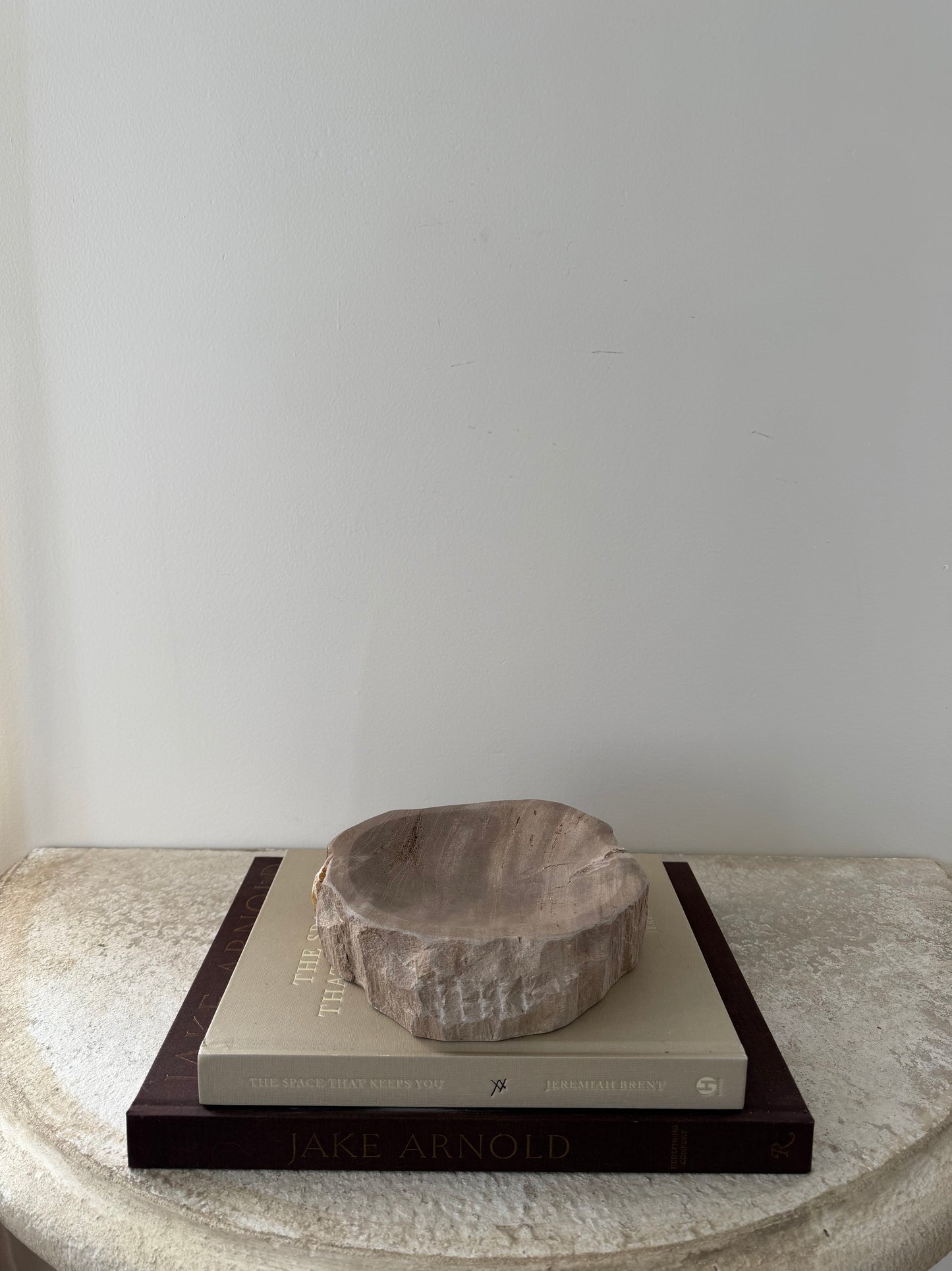 Petrified Wood Dish I