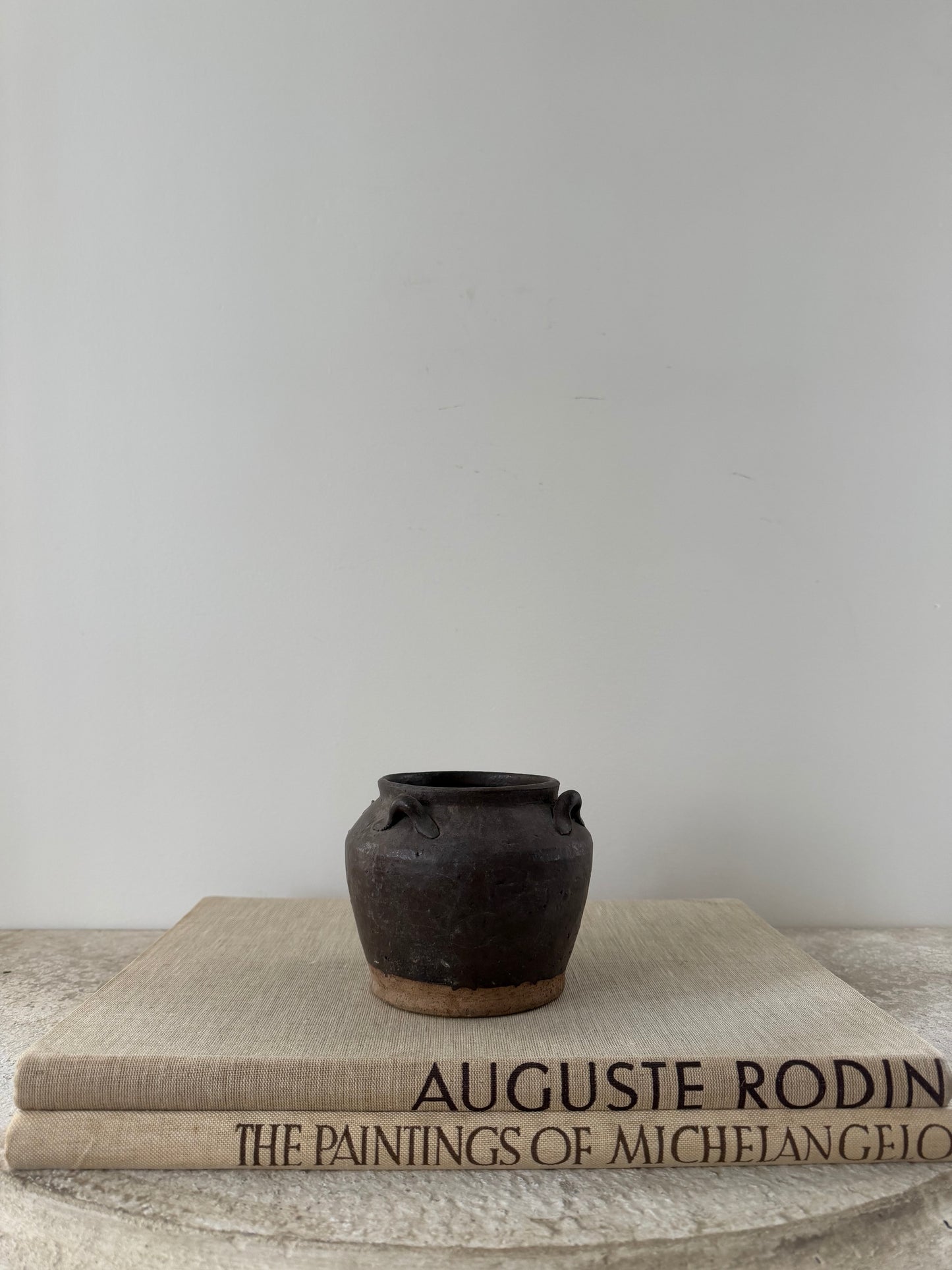 Ren Mini Pot
