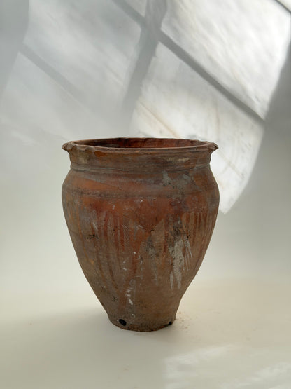 Scalloped Edge Terracotta Planter