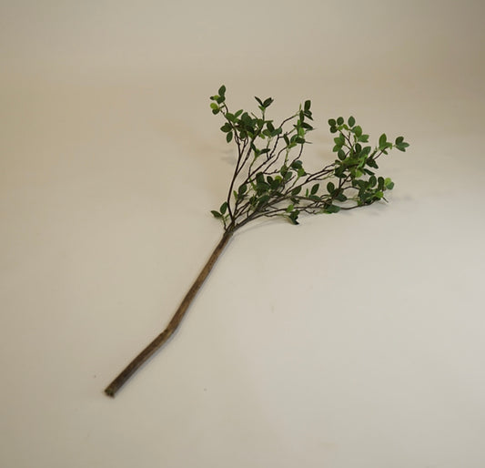 The Signature Stem