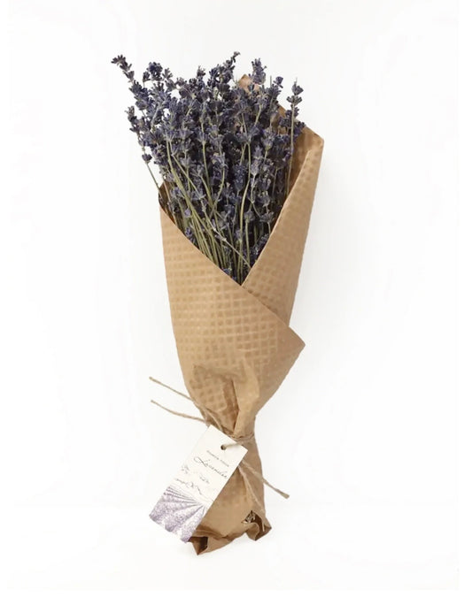 Provence Lavender Bunch
