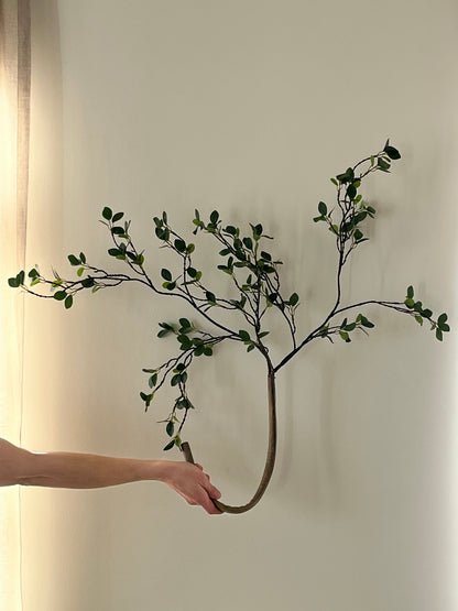 The Signature Stem