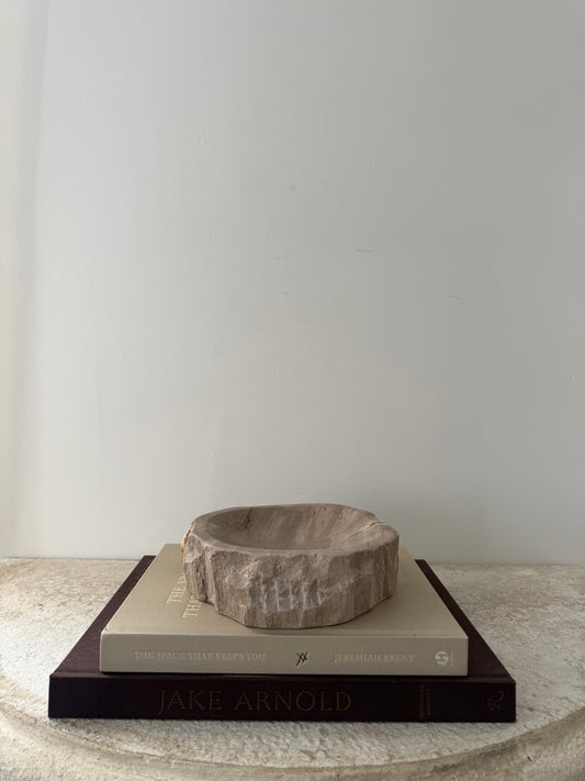 Petrified Wood Dish I