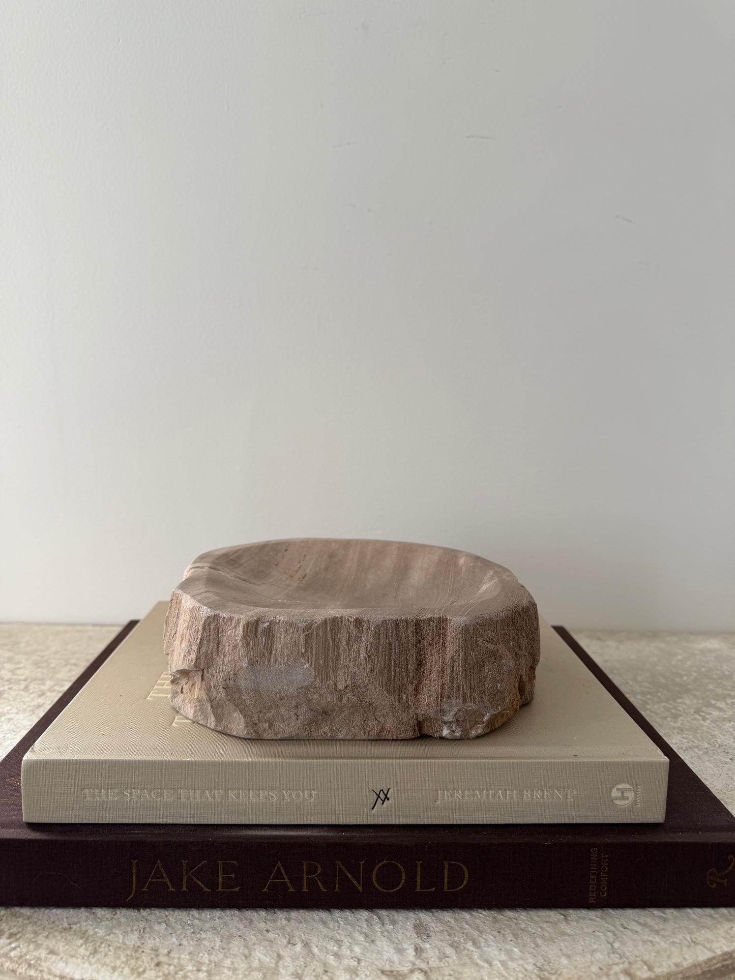 Petrified Wood Dish I