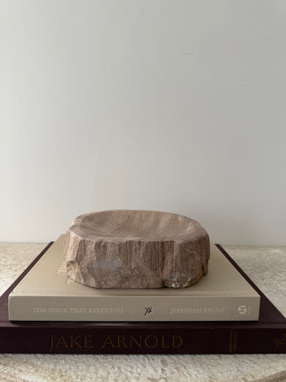 Petrified Wood Dish I