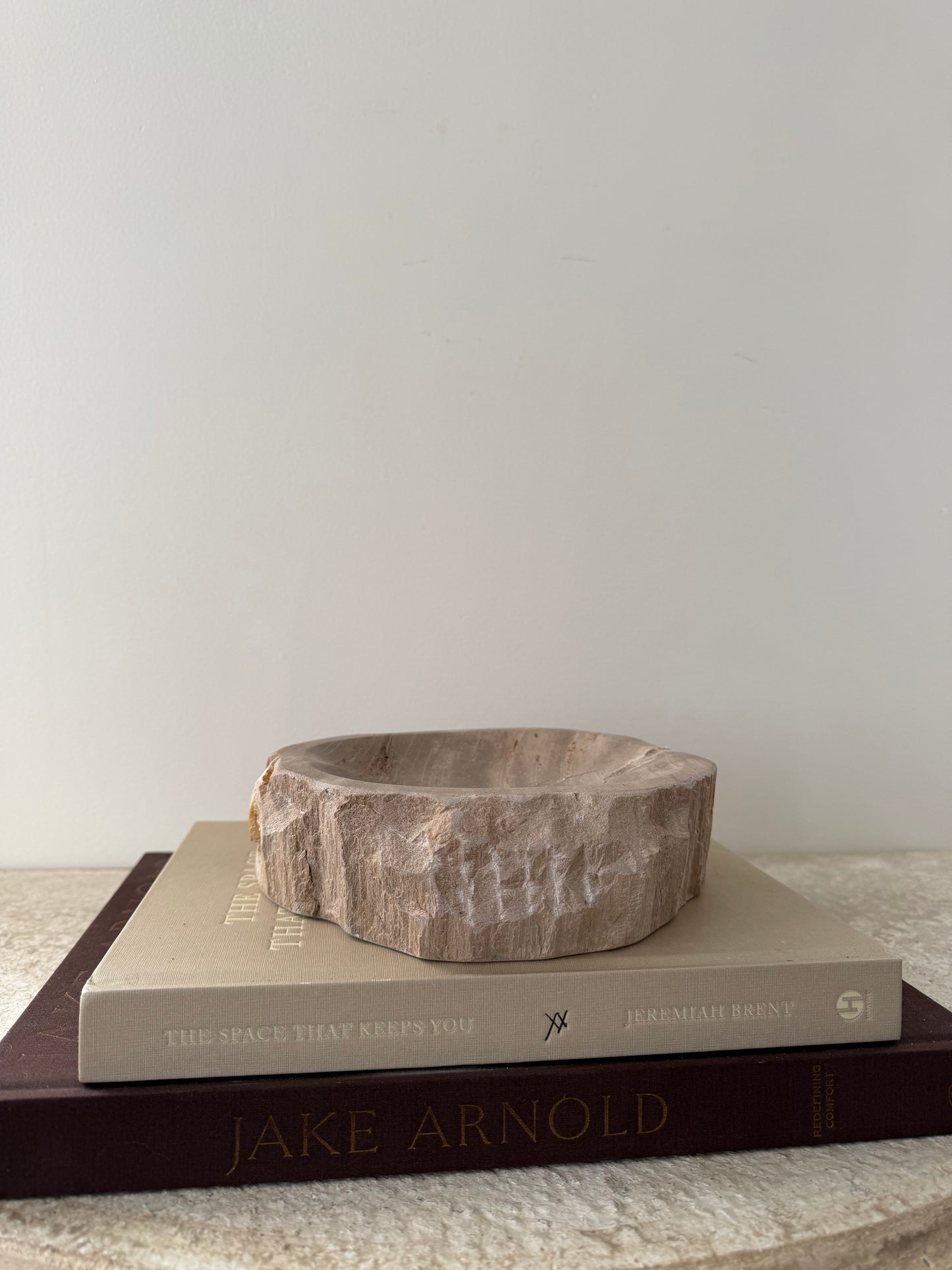 Petrified Wood Dish I