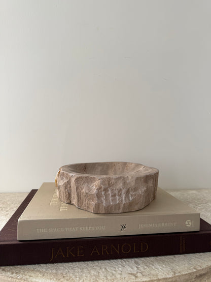 Petrified Wood Dish I