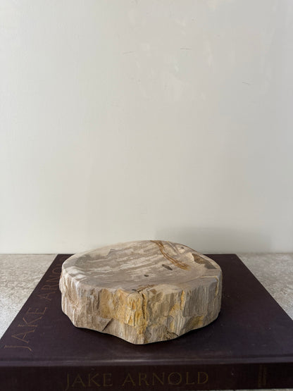 Petrified Wood Dish III