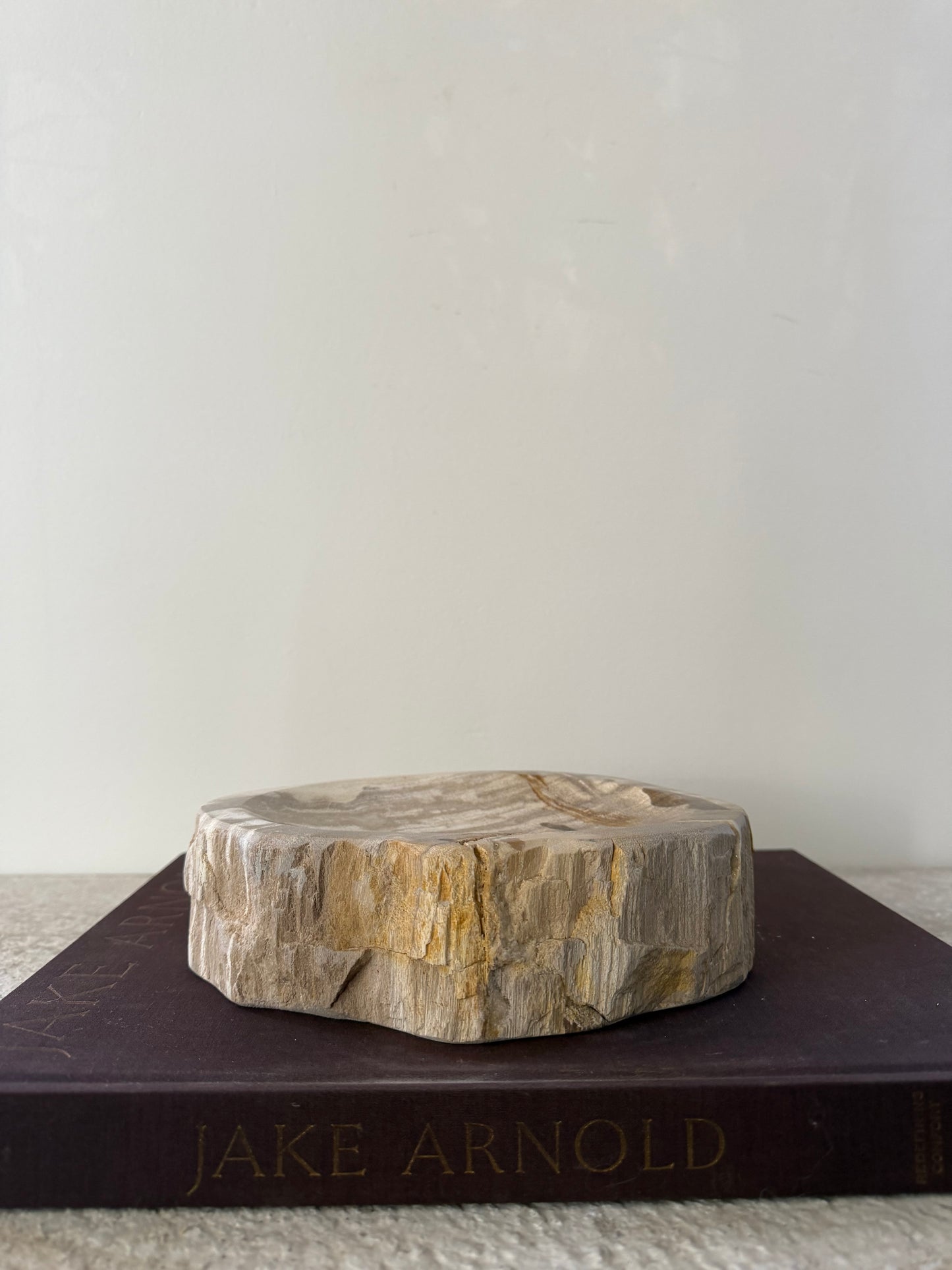 Petrified Wood Dish III