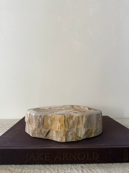 Petrified Wood Dish III