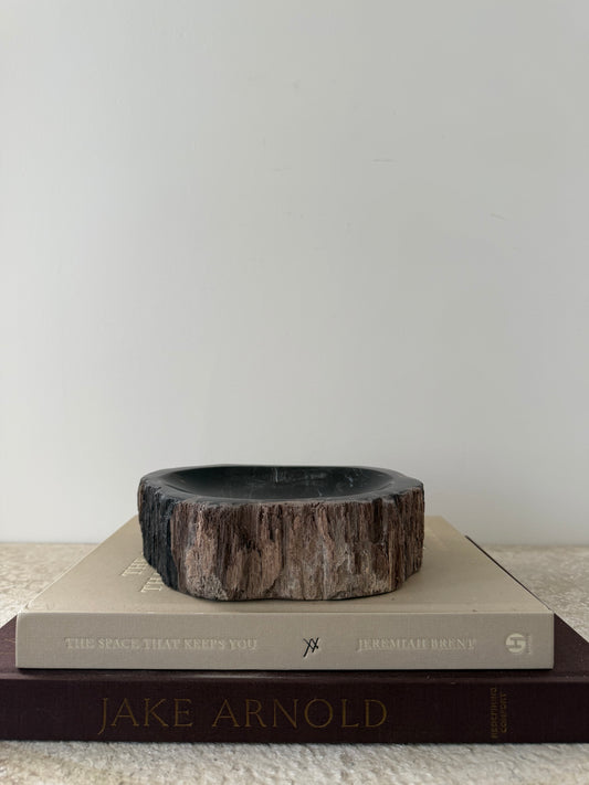 Petrified Wood Dish II
