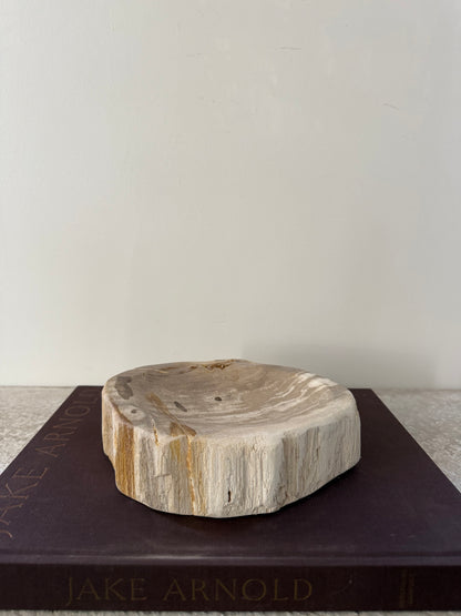 Petrified Wood Dish III