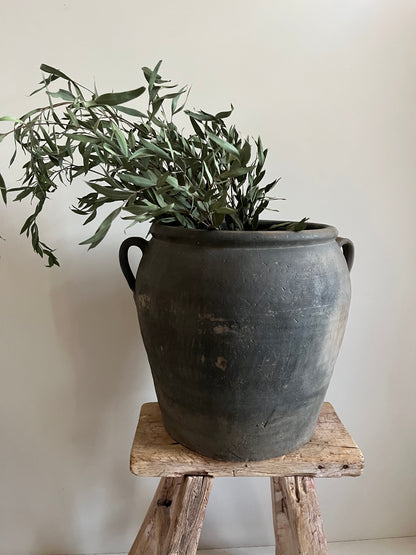 Vintage Water Pot IV