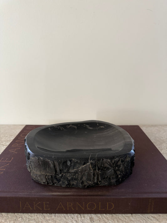 Petrified Wood Dish IV