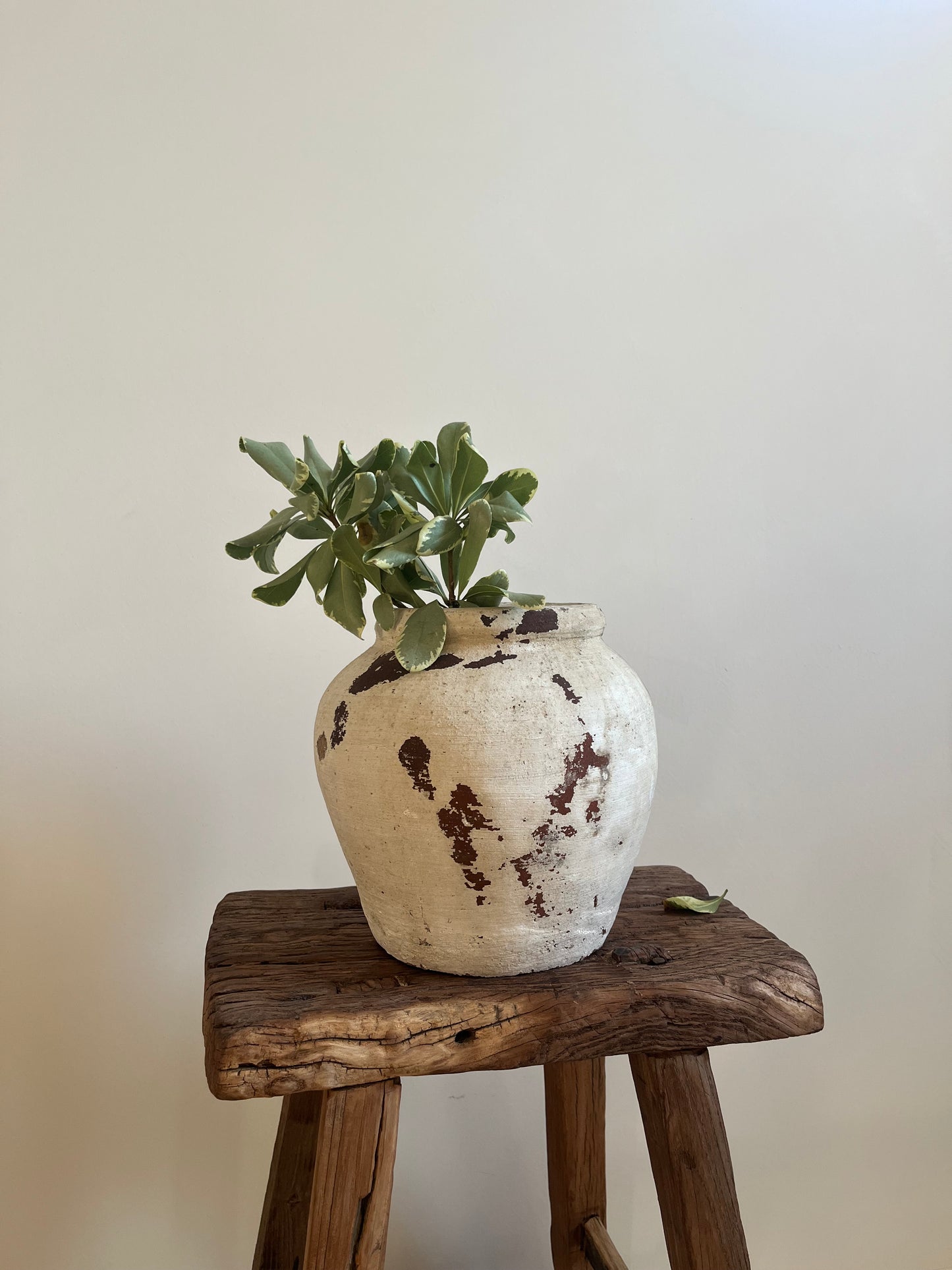 Vintage Indonesian Water Pot, Small No.002