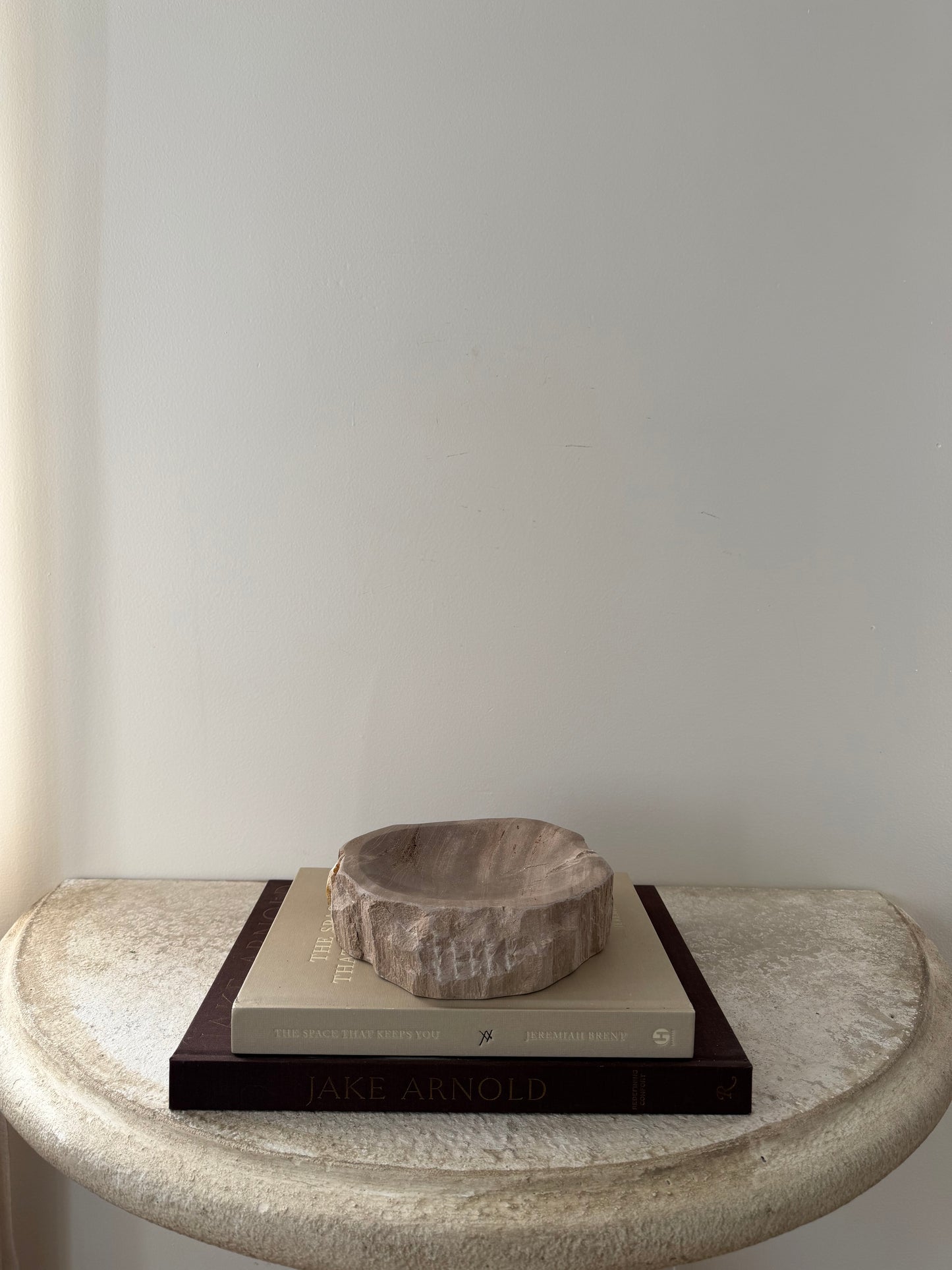Petrified Wood Dish I