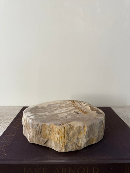 Petrified Wood Dish III