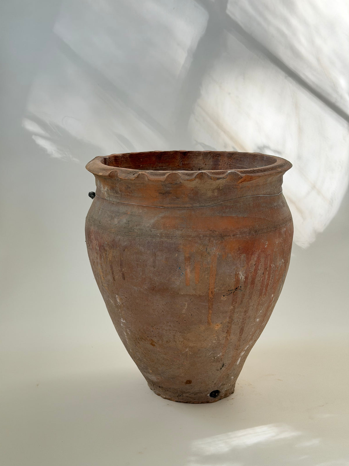Scalloped Edge Terracotta Planter