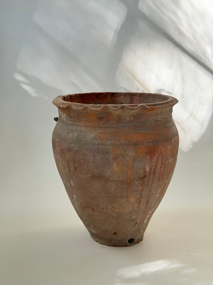 Scalloped Edge Terracotta Planter