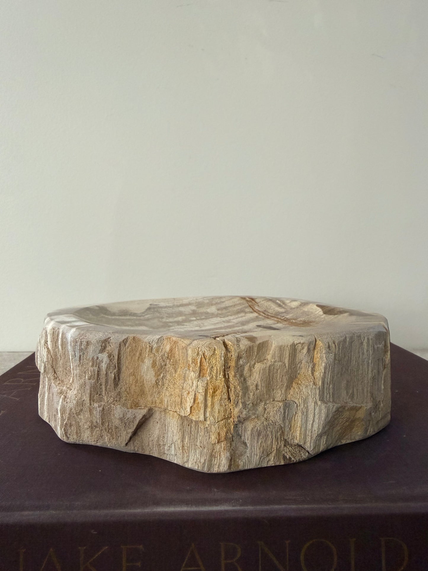 Petrified Wood Dish III