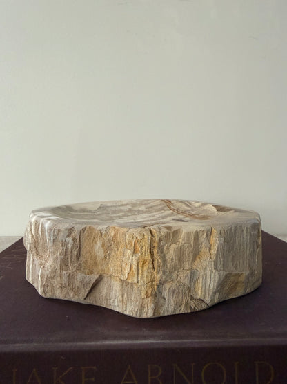 Petrified Wood Dish III