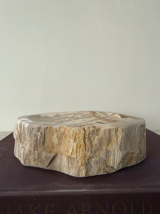 Petrified Wood Dish III