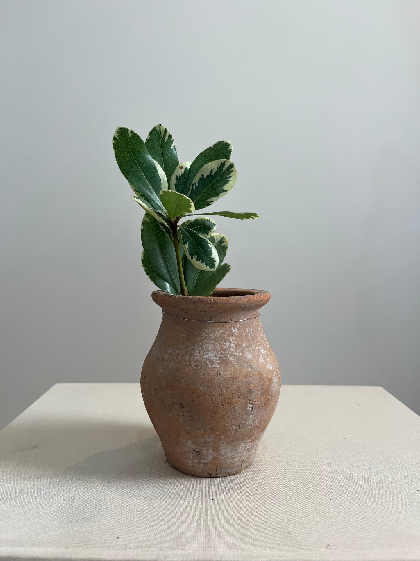 Vintage Turkish Vessel, XS No. 007