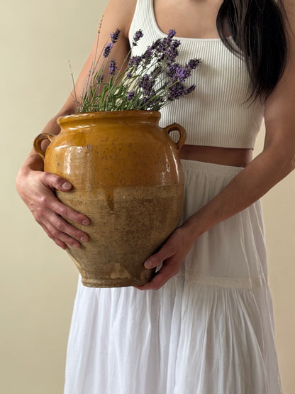 Large Antique Confit Pot - I