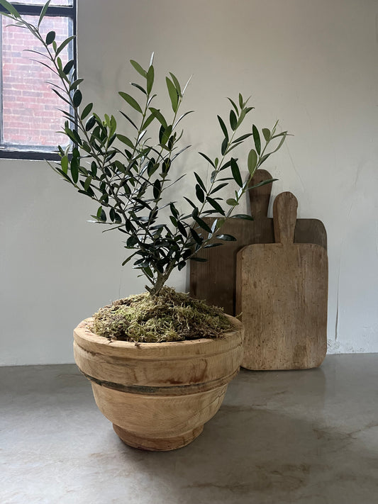 Vintage Indian Wood Capital Planters
