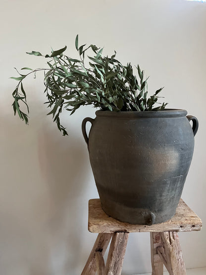 Vintage Water Pot IV