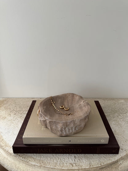 Petrified Wood Dish I